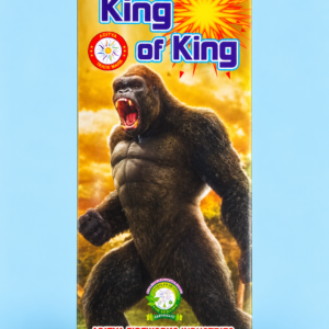 King of King